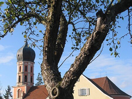 Die katholische Pfarrei St. Michael in Gnotzheim.